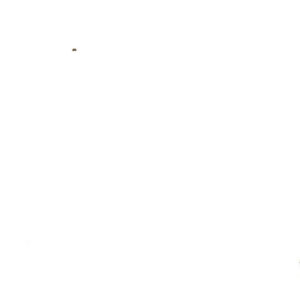 Woo Logo